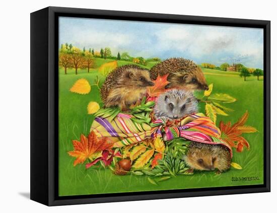 Hedgehogs Inside Scarf, 2000-E.B. Watts-Framed Stretched Canvas