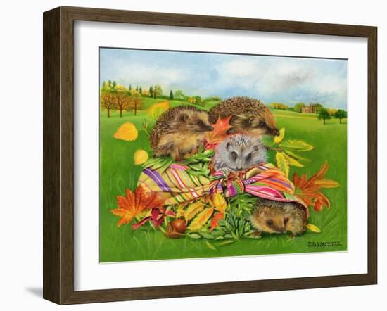 Hedgehogs Inside Scarf, 2000-E.B. Watts-Framed Giclee Print