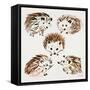 Hedgehogs-Cat Coquillette-Framed Stretched Canvas