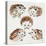 Hedgehogs-Cat Coquillette-Stretched Canvas