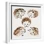 Hedgehogs-Cat Coquillette-Framed Giclee Print