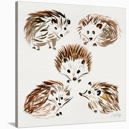 Hedgehogs-Cat Coquillette-Stretched Canvas