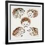 Hedgehogs-Cat Coquillette-Framed Giclee Print