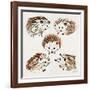 Hedgehogs-Cat Coquillette-Framed Giclee Print