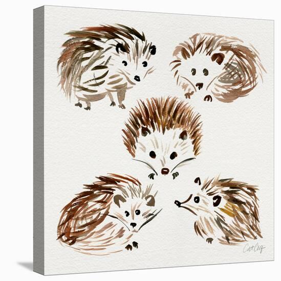 Hedgehogs-Cat Coquillette-Stretched Canvas