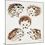 Hedgehogs-Cat Coquillette-Mounted Giclee Print