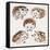 Hedgehogs-Cat Coquillette-Framed Stretched Canvas