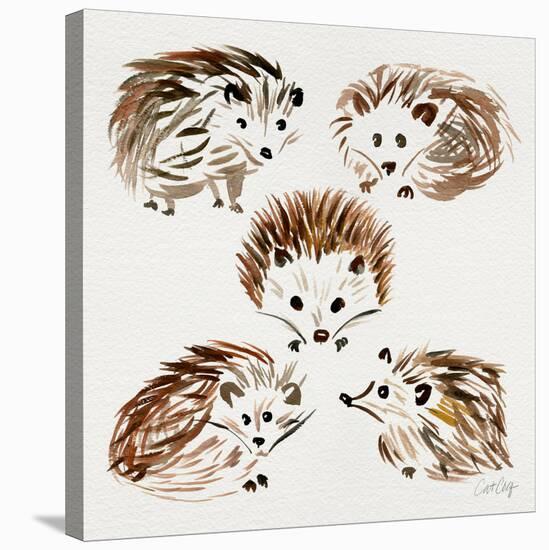 Hedgehogs-Cat Coquillette-Stretched Canvas