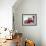 Hedgehogs-Oxana Zaika-Framed Giclee Print displayed on a wall