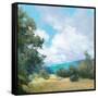 Hedgerow I-Julia Purinton-Framed Stretched Canvas