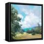 Hedgerow I-Julia Purinton-Framed Stretched Canvas