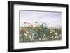 Hedgerow II-Andrew Nicholl-Framed Premium Giclee Print