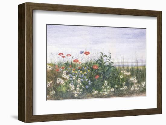 Hedgerow II-Andrew Nicholl-Framed Premium Giclee Print