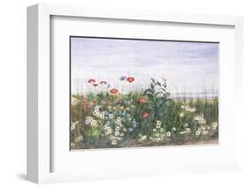 Hedgerow II-Andrew Nicholl-Framed Premium Giclee Print