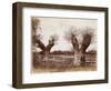 Hedgerow Tree, 1852-Benjamin Brecknell Turner-Framed Giclee Print