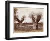 Hedgerow Tree, 1852-Benjamin Brecknell Turner-Framed Giclee Print