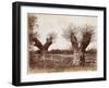 Hedgerow Tree, 1852-Benjamin Brecknell Turner-Framed Giclee Print