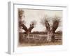 Hedgerow Tree, 1852-Benjamin Brecknell Turner-Framed Giclee Print