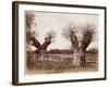 Hedgerow Tree, 1852-Benjamin Brecknell Turner-Framed Giclee Print