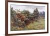 Hedgerow with Berries-Berenger Benger-Framed Art Print