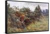 Hedgerow with Berries-Berenger Benger-Framed Stretched Canvas