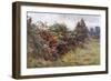 Hedgerow with Berries-Berenger Benger-Framed Art Print