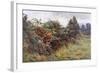 Hedgerow with Berries-Berenger Benger-Framed Art Print