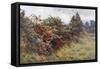 Hedgerow with Berries-Berenger Benger-Framed Stretched Canvas