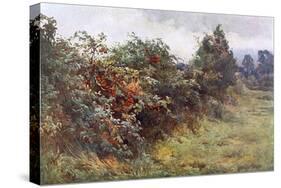 Hedgerow with Berries-Berenger Benger-Stretched Canvas