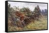 Hedgerow with Berries-Berenger Benger-Framed Stretched Canvas