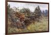 Hedgerow with Berries-Berenger Benger-Framed Art Print