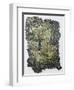 Hedgerow-Kirstie Adamson-Framed Giclee Print