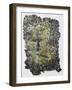 Hedgerow-Kirstie Adamson-Framed Giclee Print