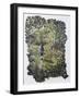 Hedgerow-Kirstie Adamson-Framed Giclee Print