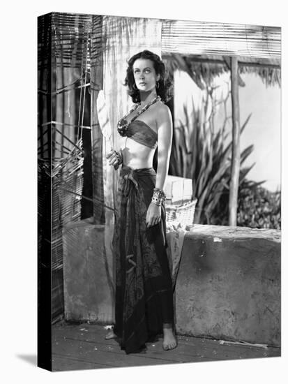 Hedy Lamarr-null-Stretched Canvas