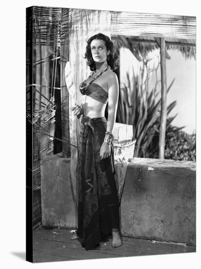 Hedy Lamarr-null-Stretched Canvas