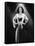 Hedy Lamarr-null-Framed Stretched Canvas