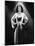 Hedy Lamarr-null-Mounted Photo