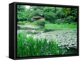 Heian Shrine Garden, Kyoto, Japan-null-Framed Stretched Canvas