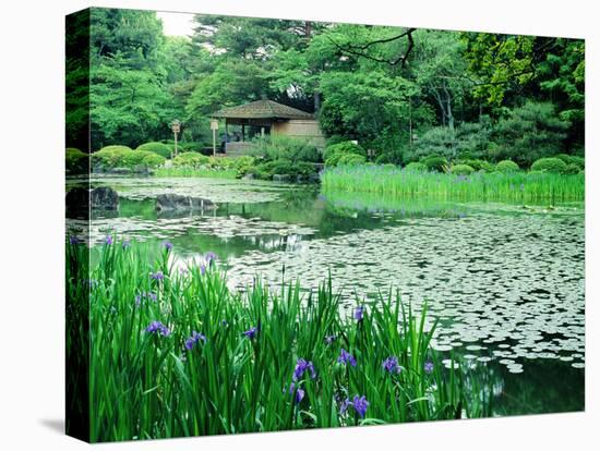 Heian Shrine Garden, Kyoto, Japan-null-Stretched Canvas