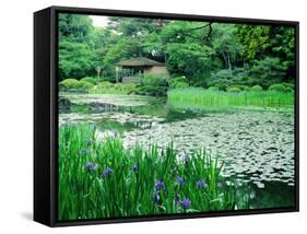 Heian Shrine Garden, Kyoto, Japan-null-Framed Stretched Canvas