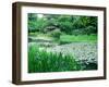 Heian Shrine Garden, Kyoto, Japan-null-Framed Premium Photographic Print