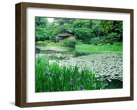 Heian Shrine Garden, Kyoto, Japan-null-Framed Premium Photographic Print