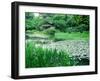 Heian Shrine Garden, Kyoto, Japan-null-Framed Premium Photographic Print