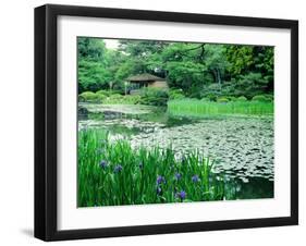 Heian Shrine Garden, Kyoto, Japan-null-Framed Premium Photographic Print