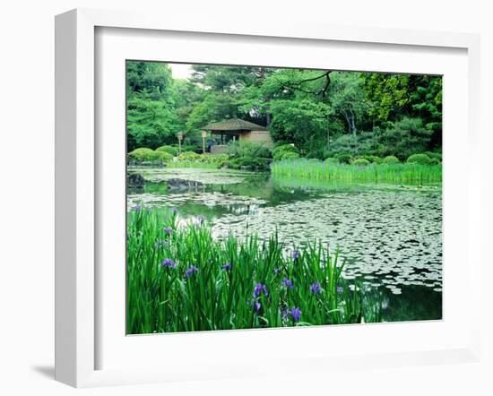 Heian Shrine Garden, Kyoto, Japan-null-Framed Premium Photographic Print