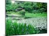 Heian Shrine Garden, Kyoto, Japan-null-Mounted Premium Photographic Print