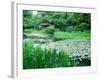 Heian Shrine Garden, Kyoto, Japan-null-Framed Photographic Print