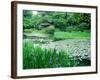 Heian Shrine Garden, Kyoto, Japan-null-Framed Photographic Print