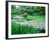 Heian Shrine Garden, Kyoto, Japan-null-Framed Photographic Print